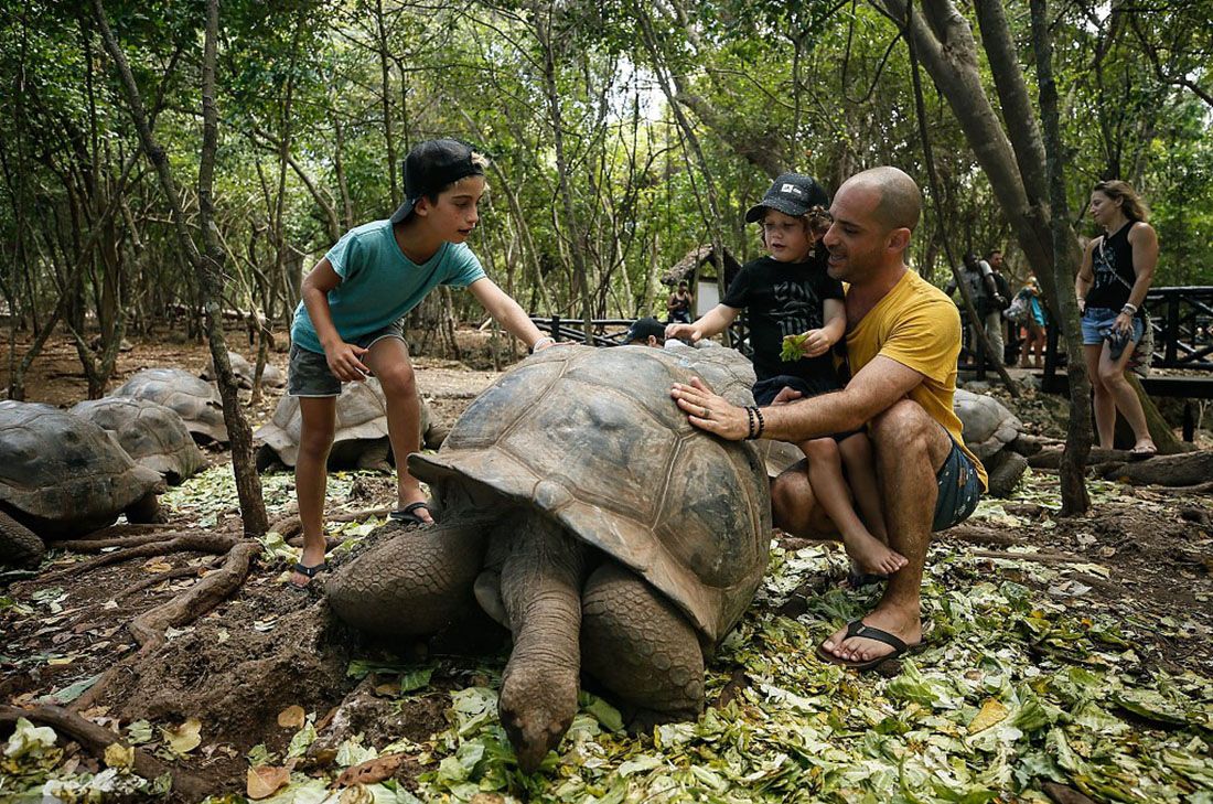 Остров Тюремный (Prison Island) архипелага Занзибар